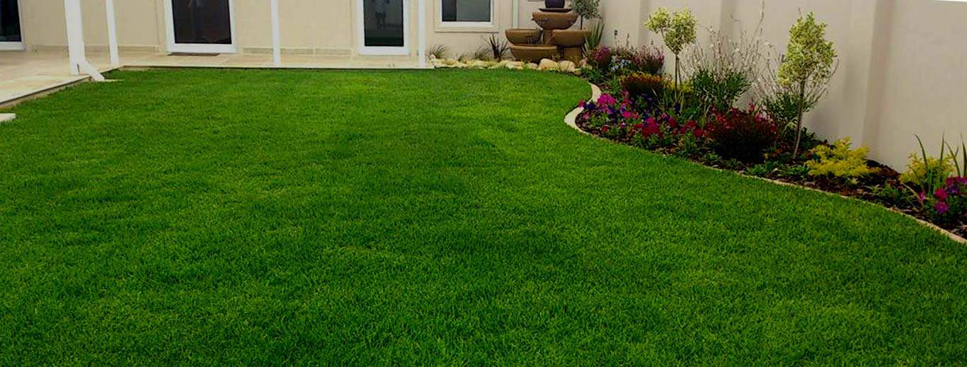 Artificial Lawn